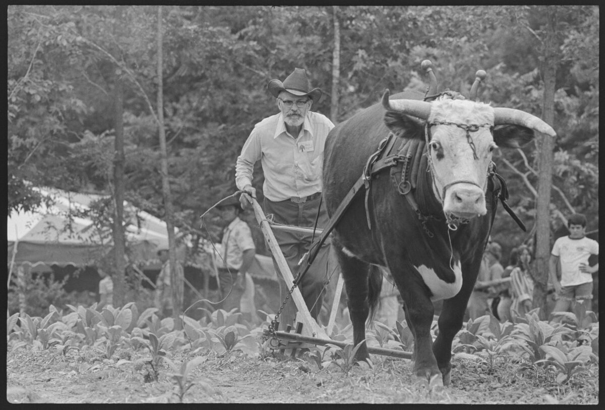 Plowing Demonstration